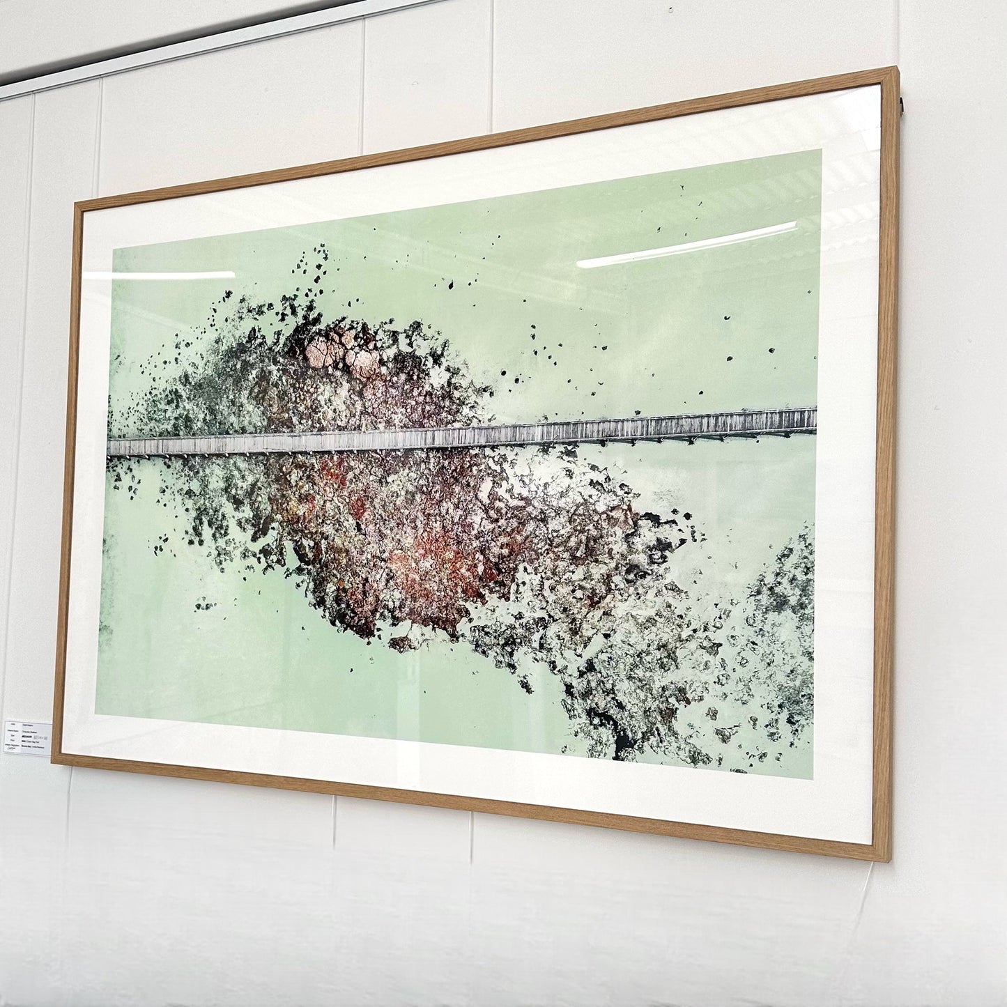 GRANT DOLPHIN Turquoise Shallows