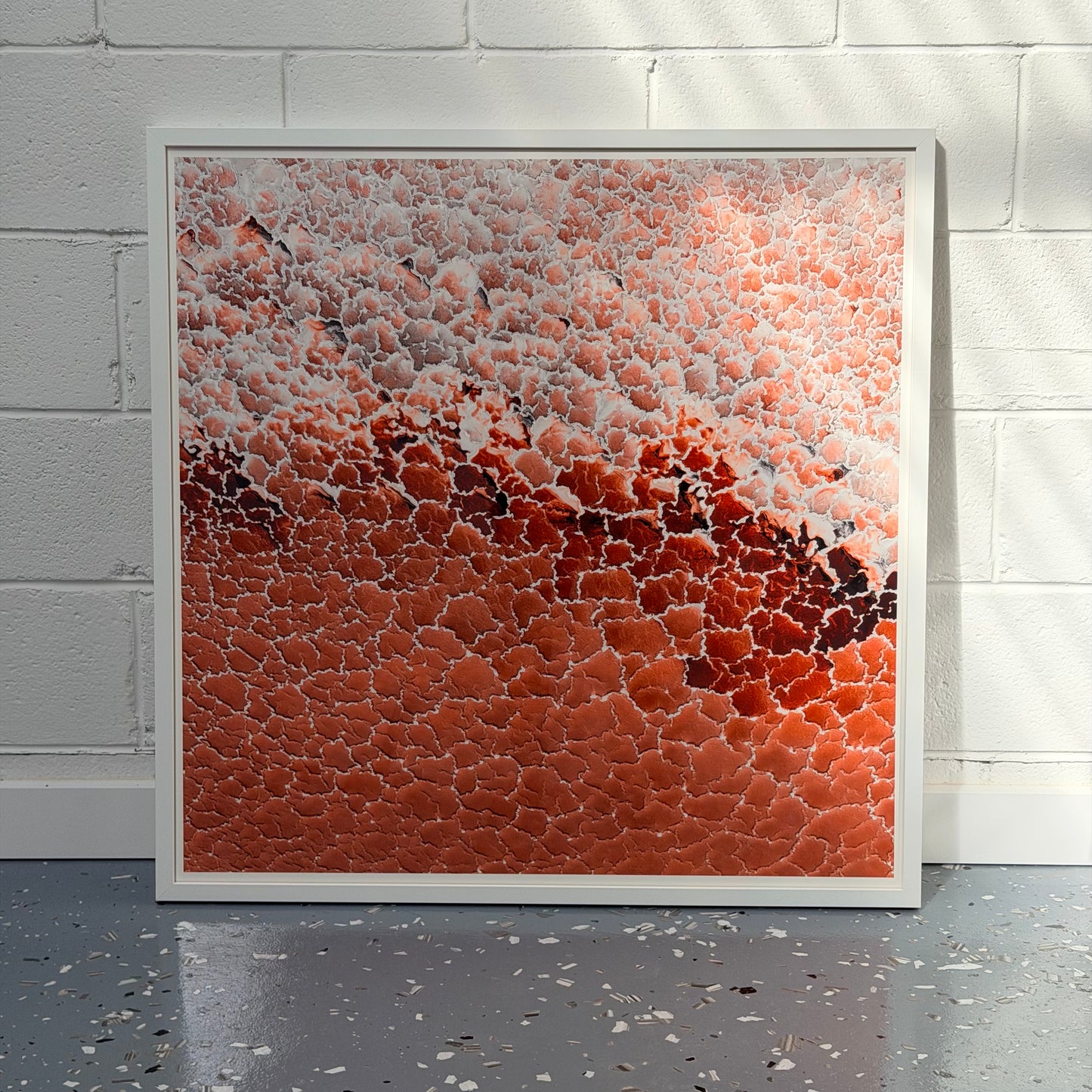 ASHLEY POPE Threshold