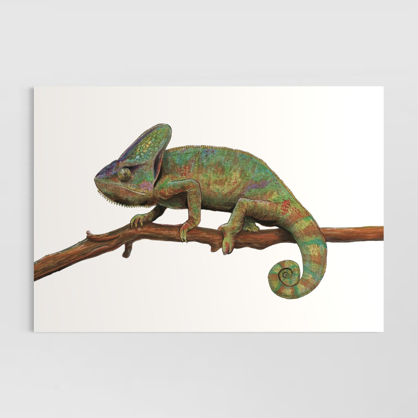 Chameleon