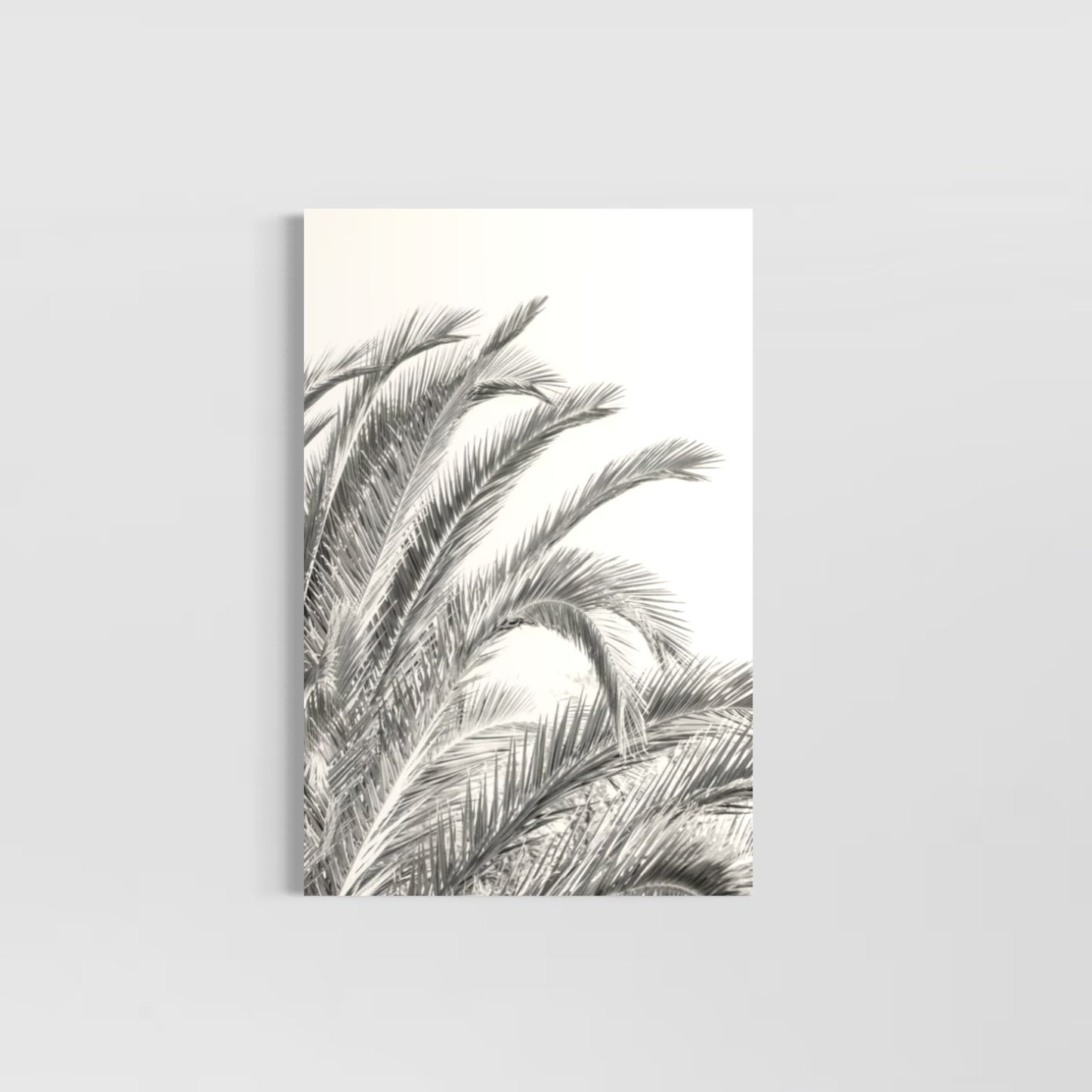 Palm Leaves (Military Road)