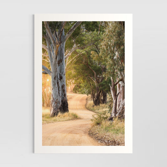 Somewhere Down the Road