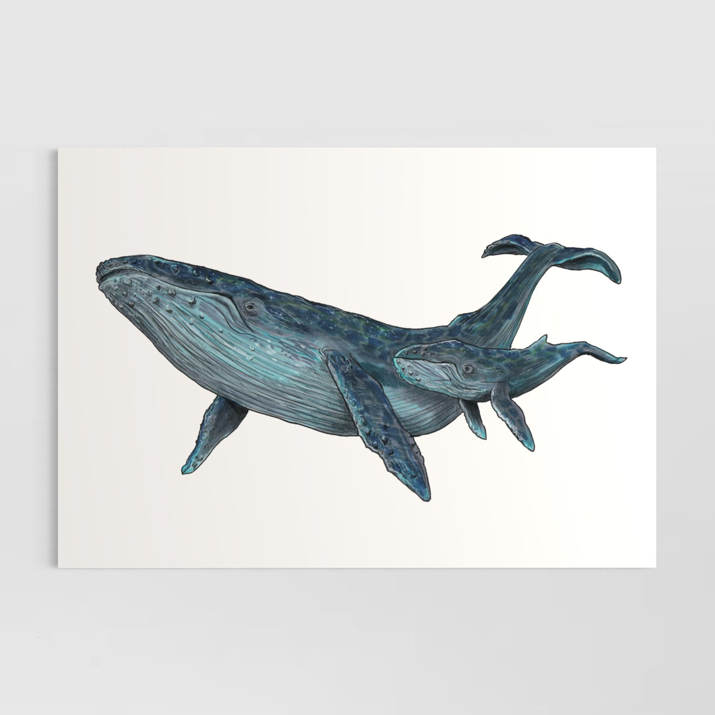 Humpback and her Calf