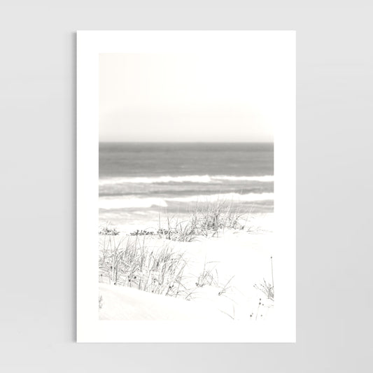 Coastal Layers (Waitpinga Beach)