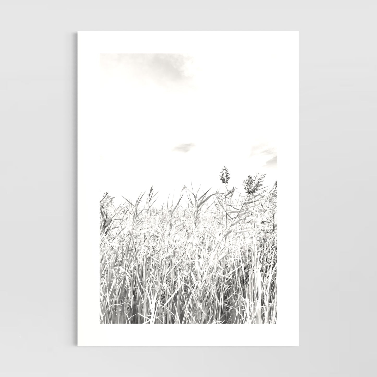 By The Lake (Meningie, Coorong)