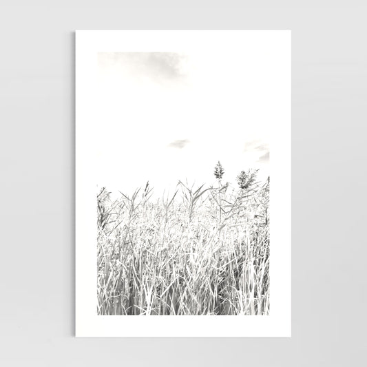 By The Lake (Meningie, Coorong)