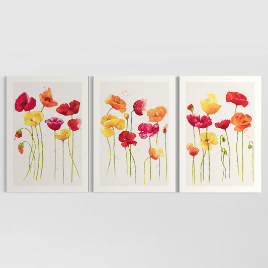Poppies - Set of 3