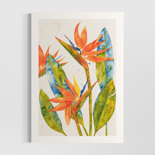 Bird of Paradise (Strelitzia)