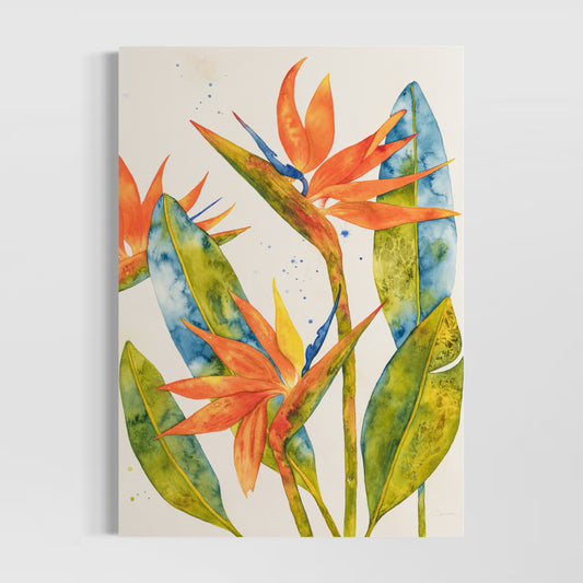 Bird of Paradise (Strelitzia)