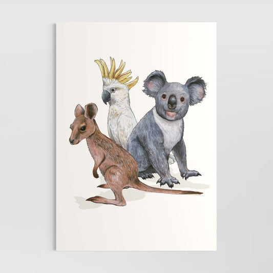 Joey, Cockatoo and Koala