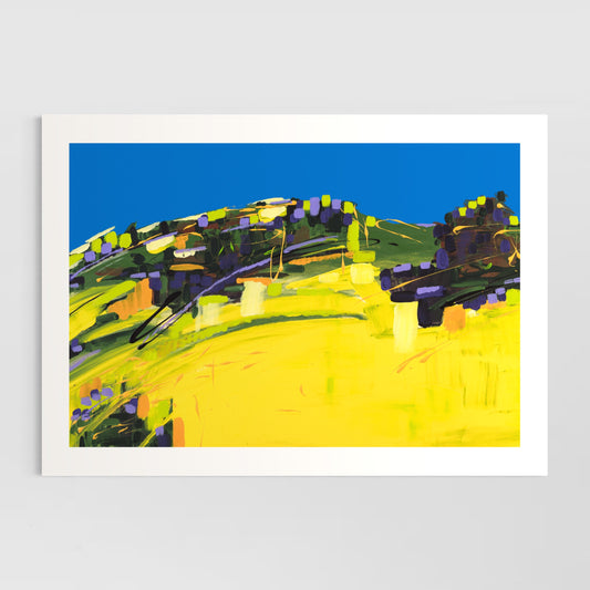 Yellow Symphony: Barossa Valley Canola