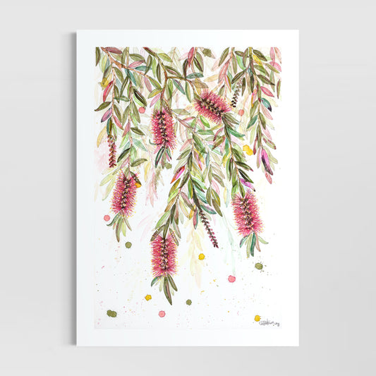 A Flush of Bottle Brush