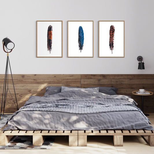 Feathers Set of 3 (Male and Female Red Tailed Black Cockatoo and Blue Parrot)