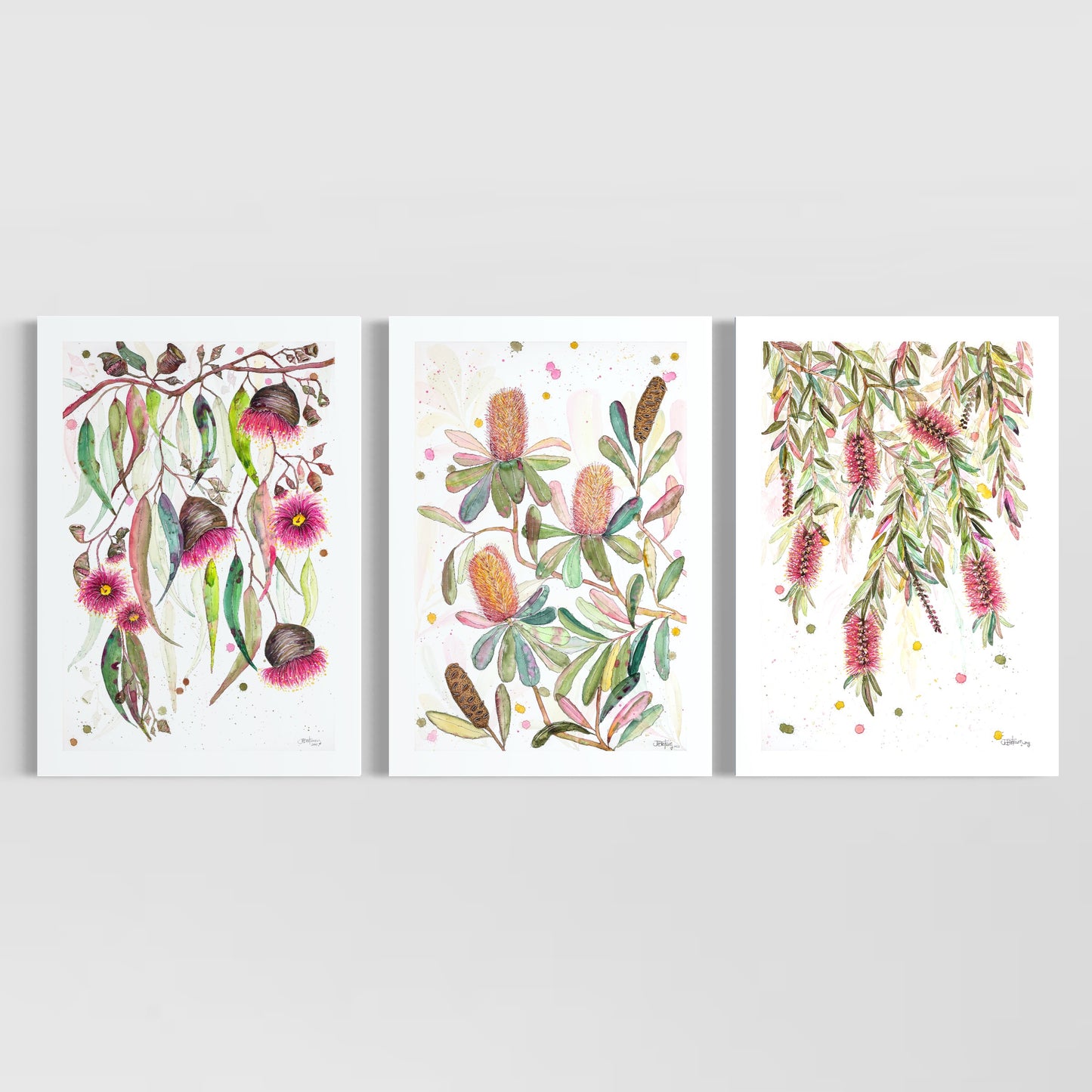 Glorious Gum Blossoms, Banksia Tree and A Flush of Bottle Brush Set of 3