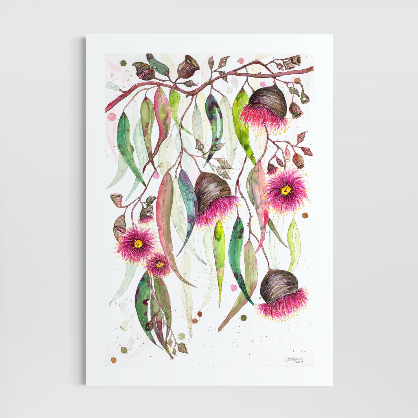 Glorious Gum Blossoms