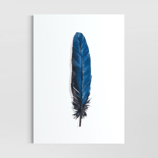 Blue Days (Blue Parrot Feather)
