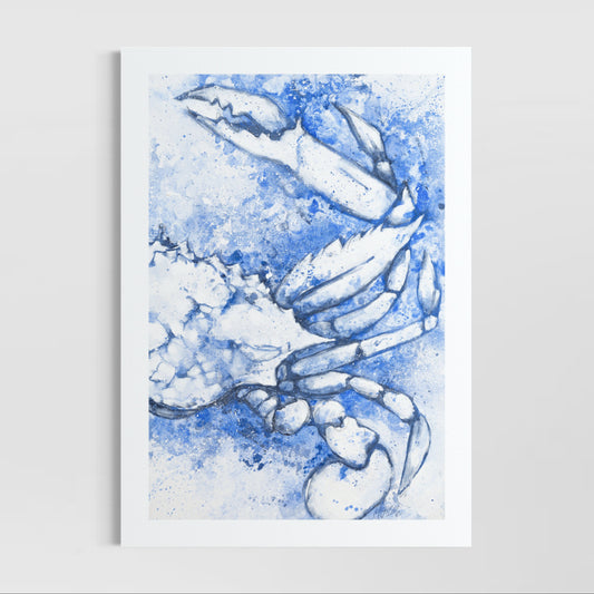 Blue Swimmer