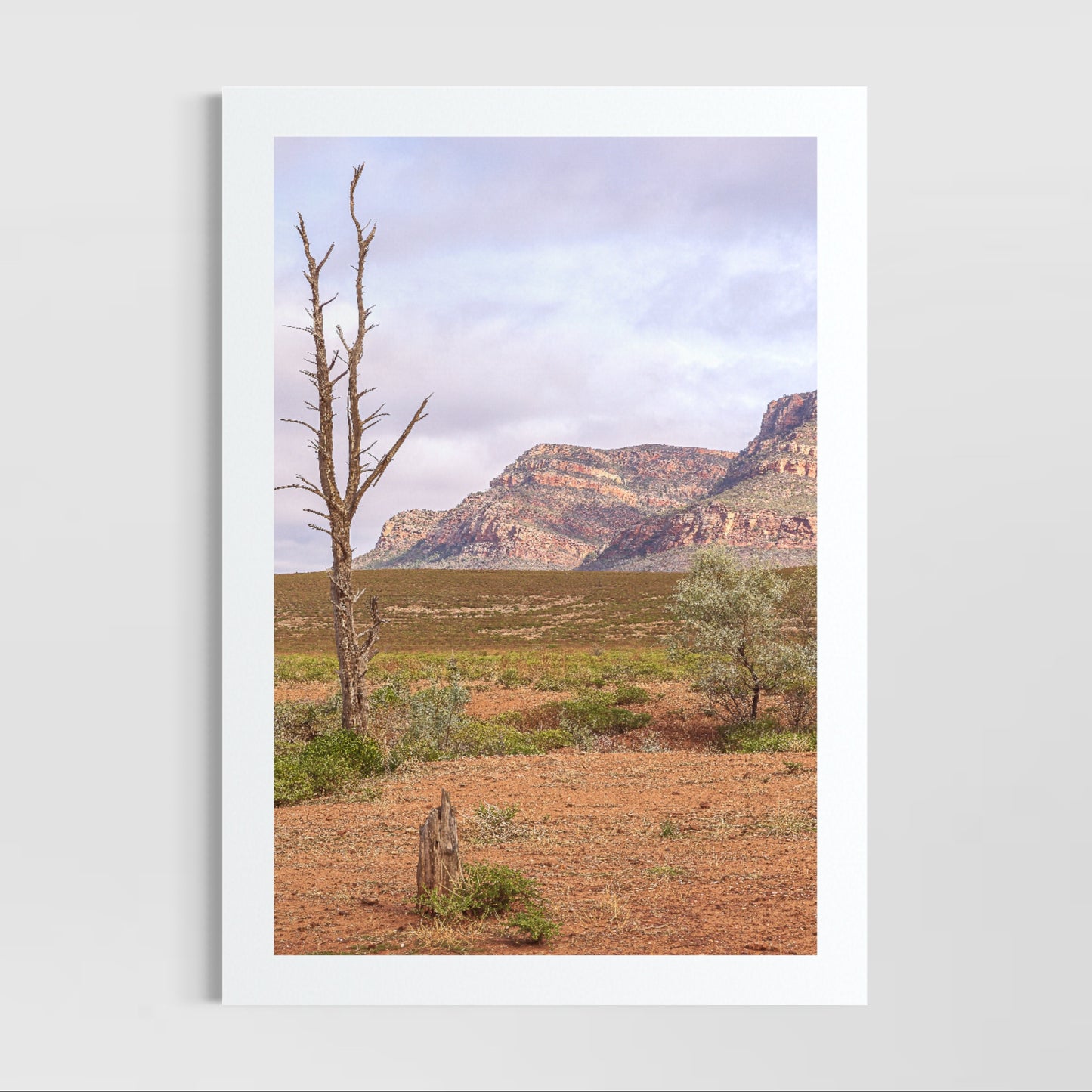 Rawnsley (Flinders Rangers)