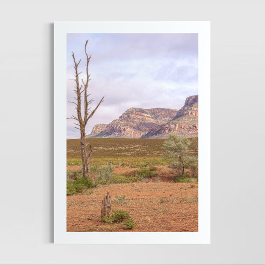 Rawnsley (Flinders Rangers)