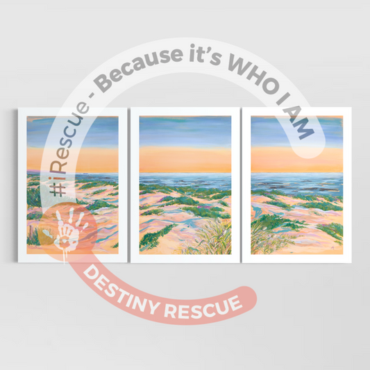 Sunrise Soaker Set of 3