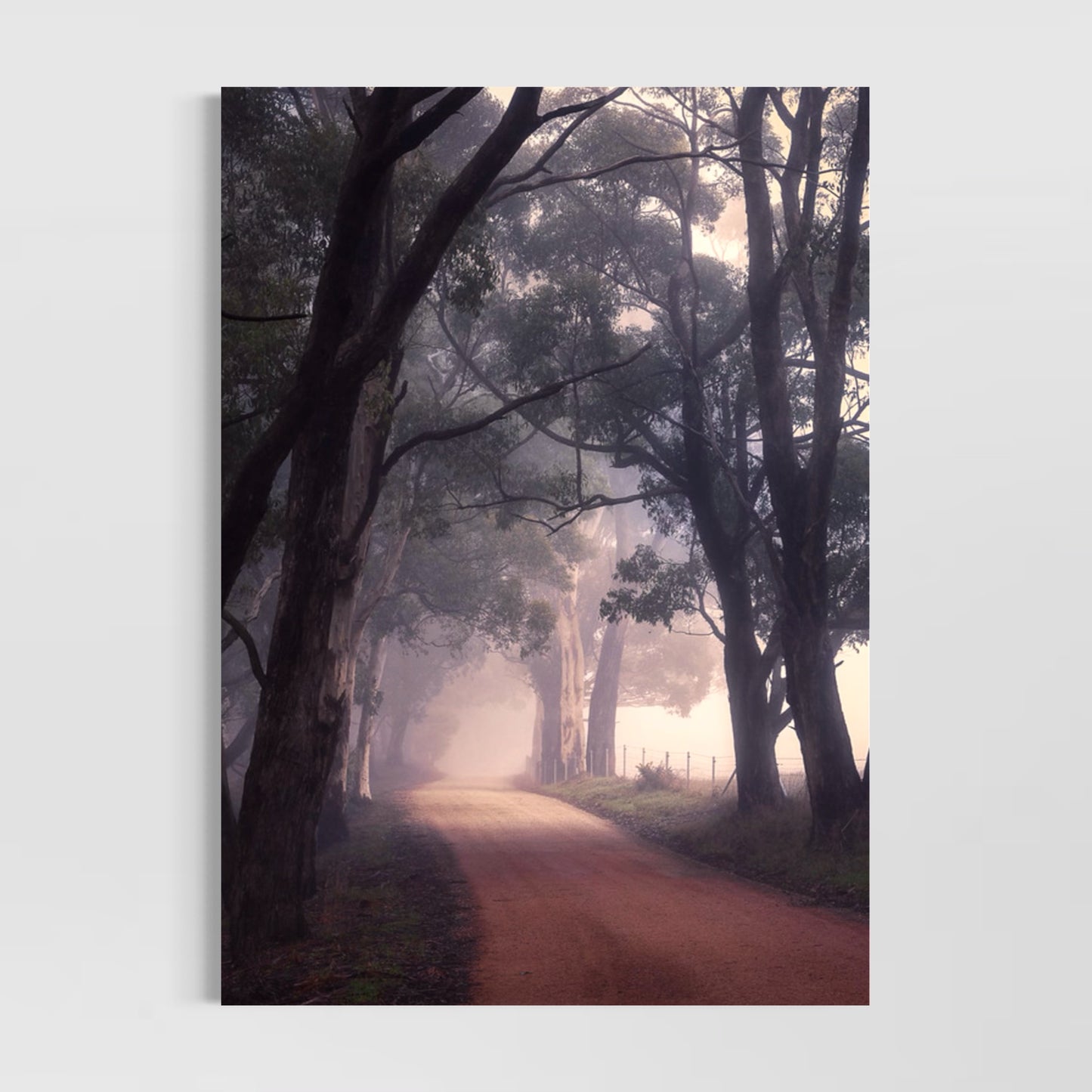 Into The Light (portrait)