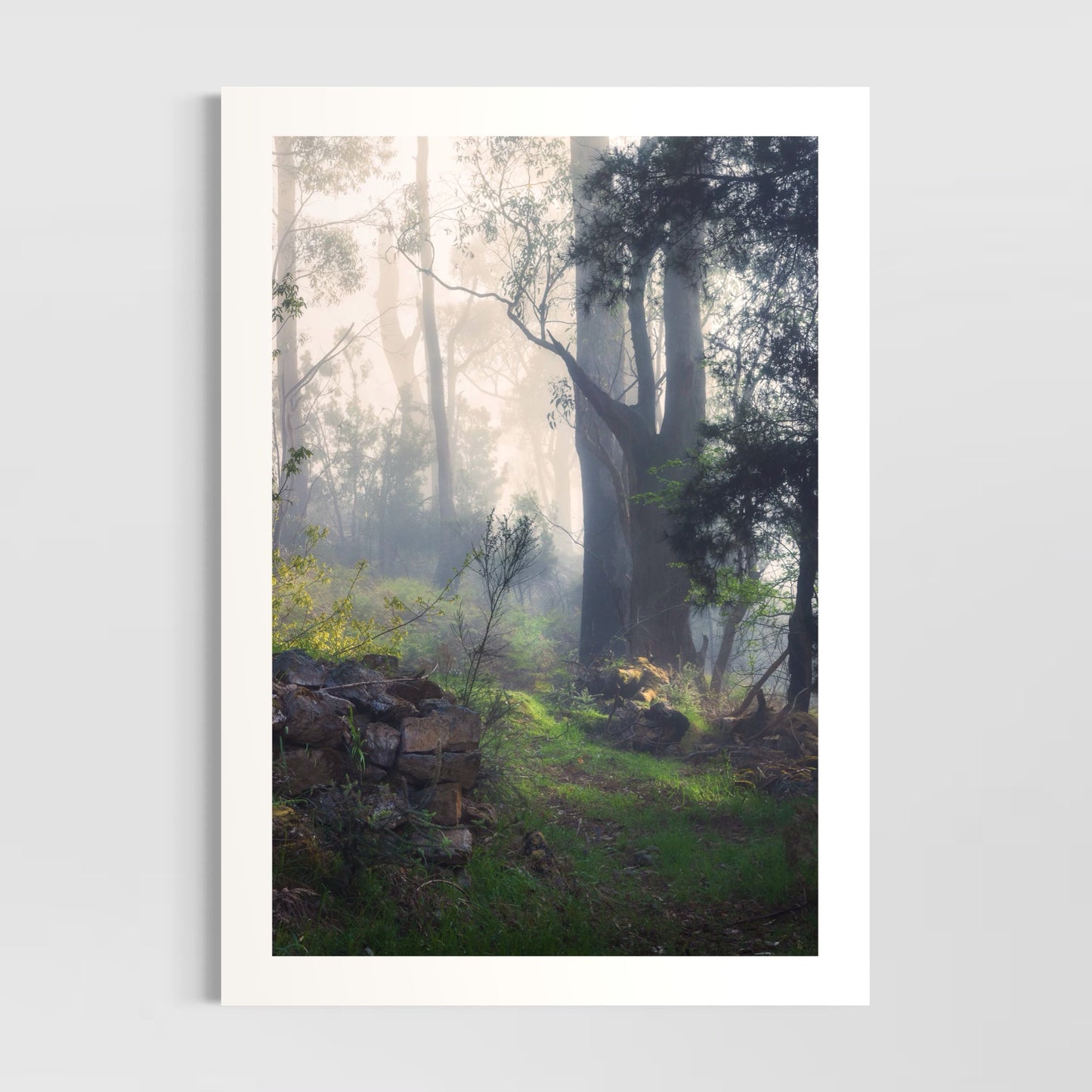 Lost in a Forest