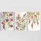 Glorious Gum Blossoms, Banksia Tree and A Flush of Bottle Brush Set of 3