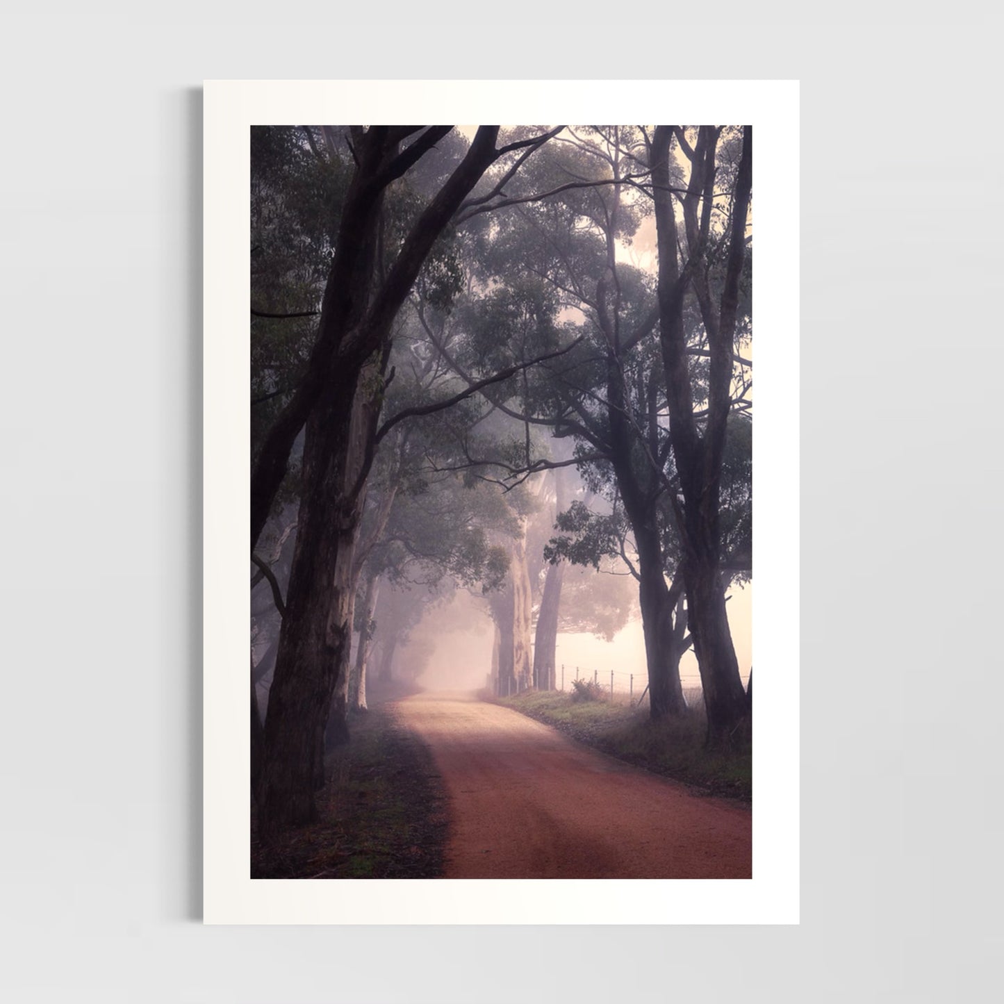 Into The Light (portrait)