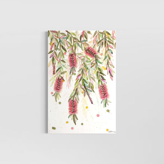 A flush of bottlebrush