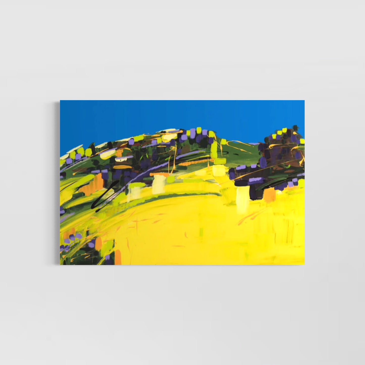 Yellow Symphony: Barossa Valley Canola