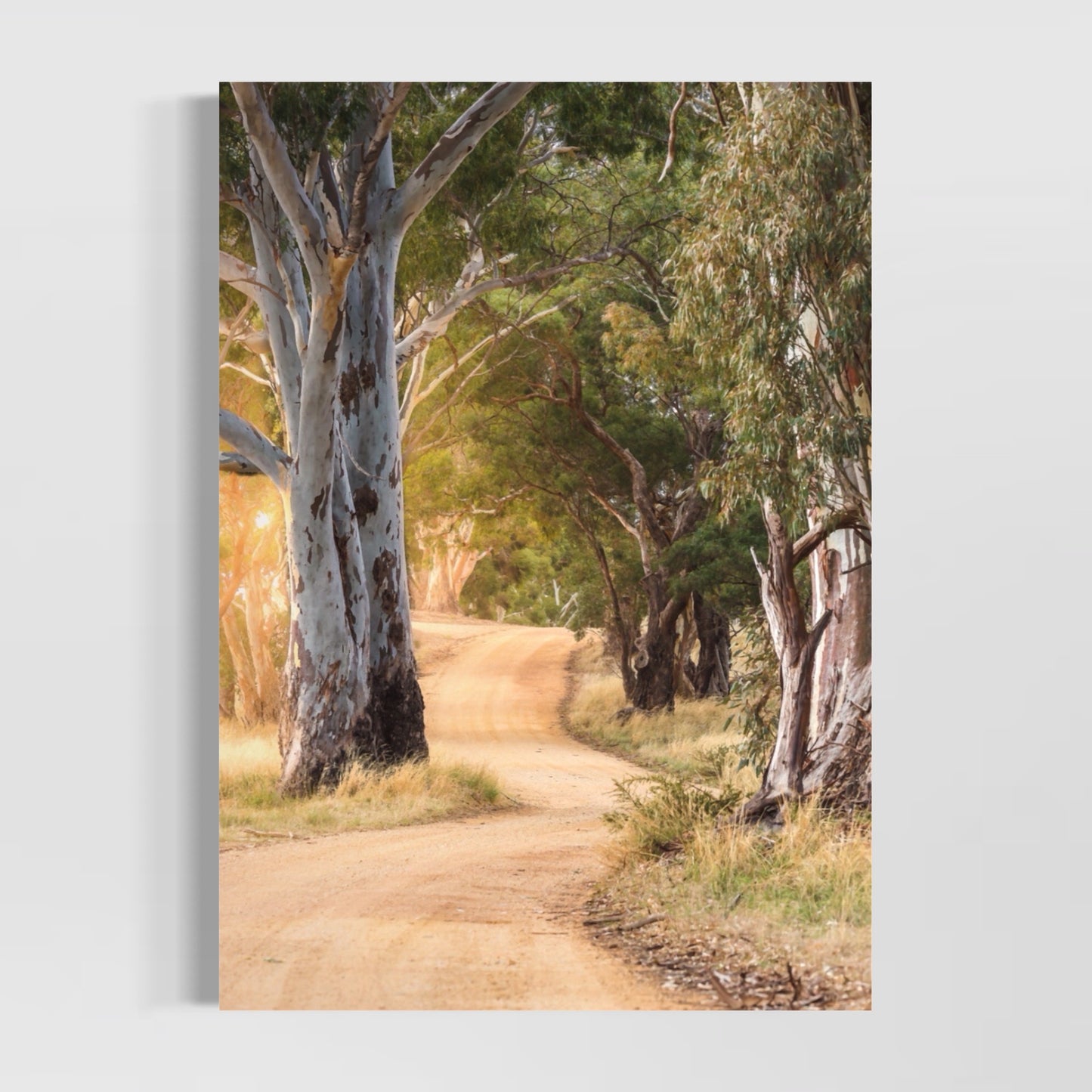 GIANT Down The Road