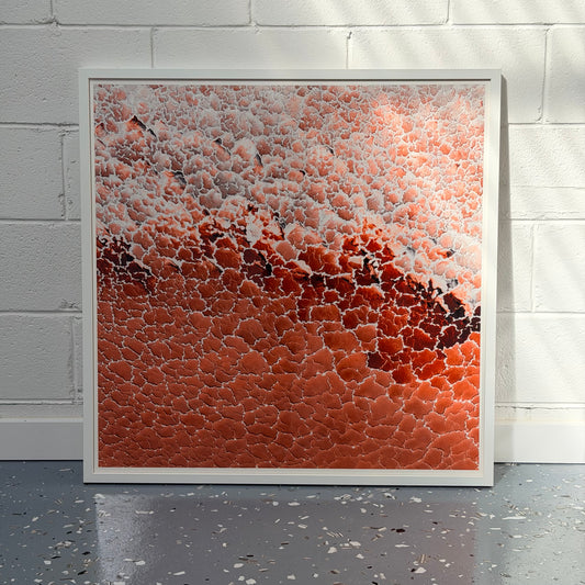ASHLEY POPE Threshold