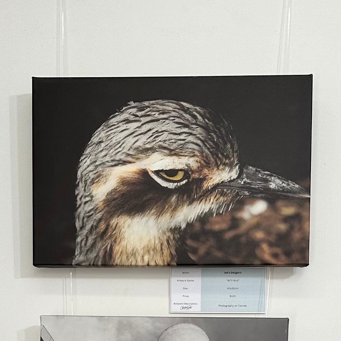 MARIE SOLTYSIAK WTF Bird