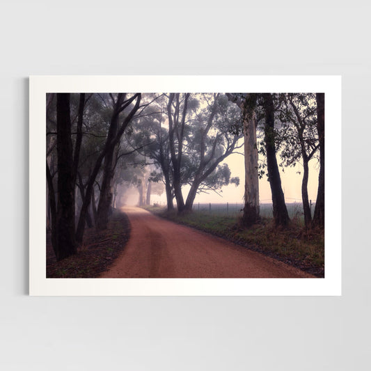 Into The Light (landscape)