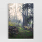 Lost in a Forest