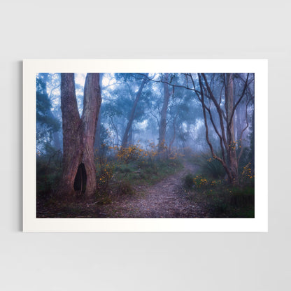 Spring Mist