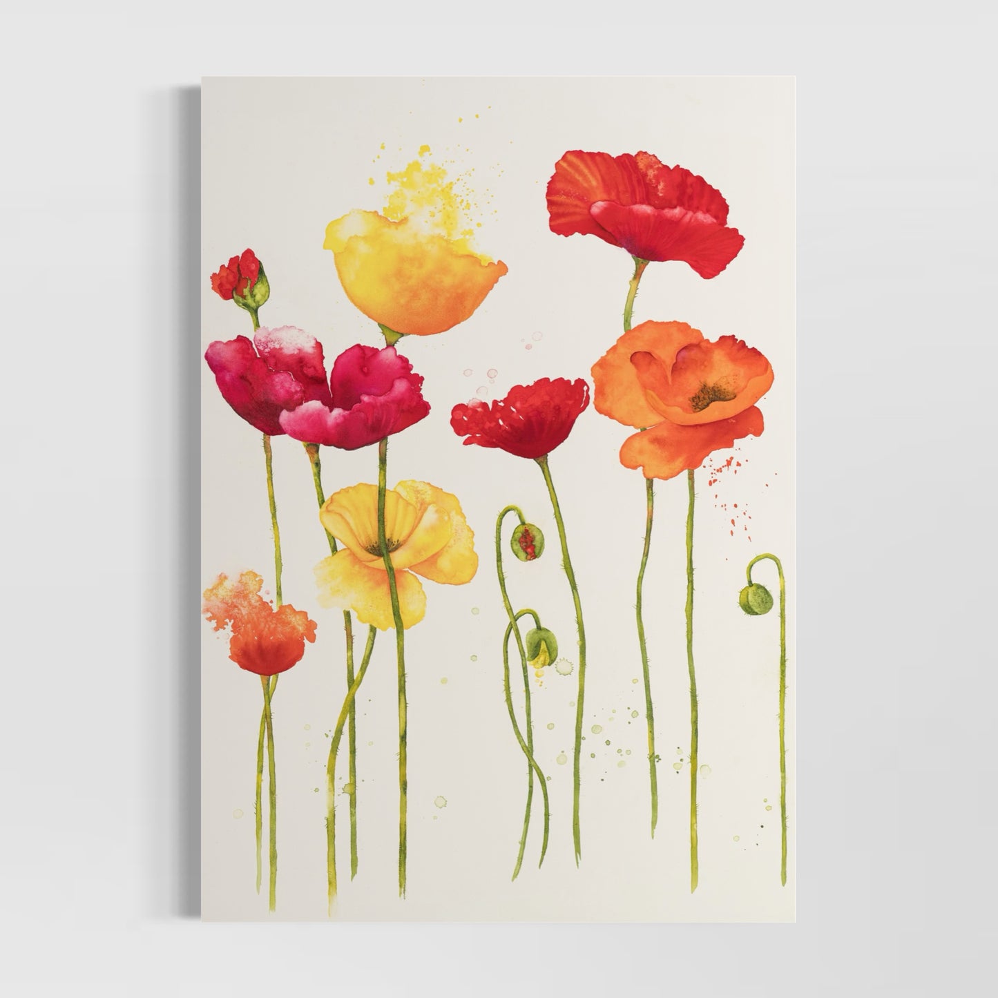 Poppies 1