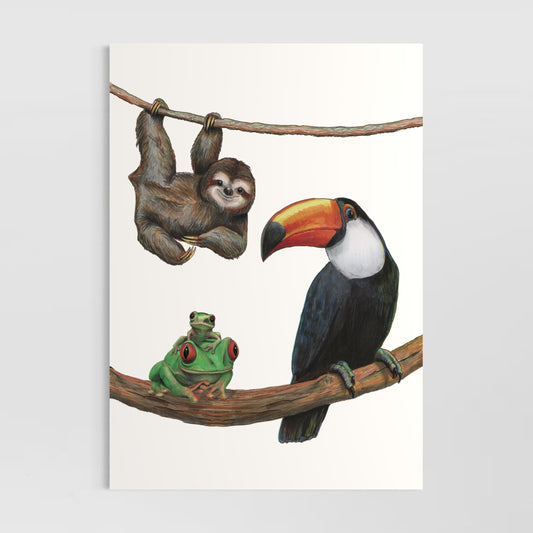 Sloth, Toucan and Frog