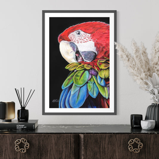 Bruno the Macaw (Up to 50% OFF)