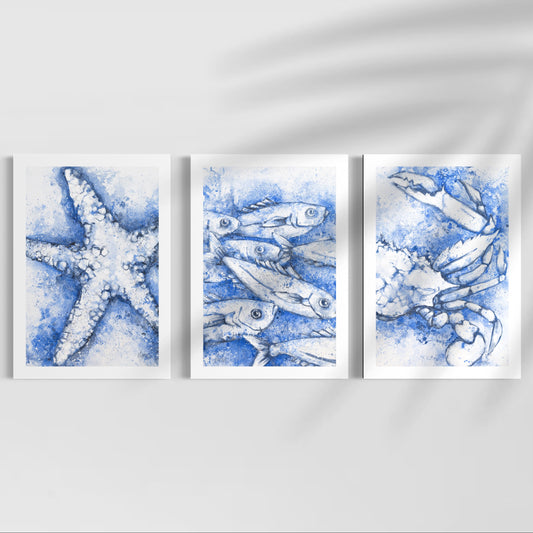 Starfish Fishes Blue Swimmer Set of 3