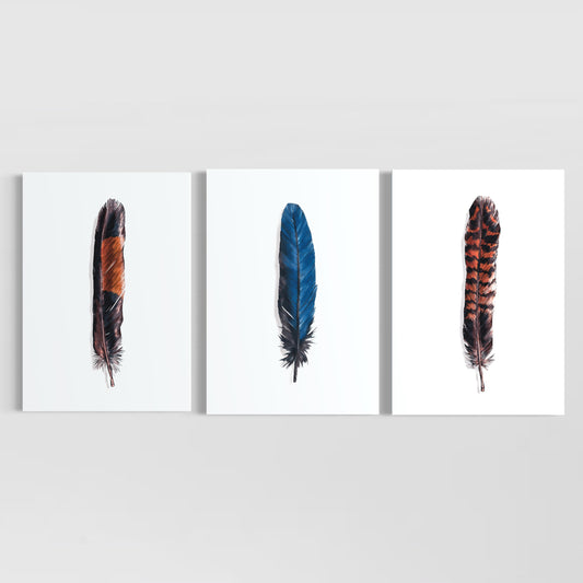 Feathers Set of 3 (Male and Female Red Tailed Black Cockatoo and Blue Parrot)