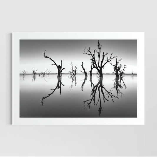 Reflect (Lake Bonney)
